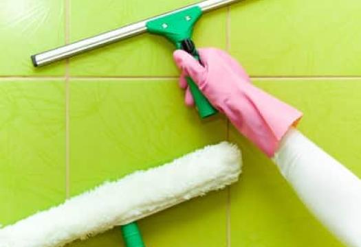 Shower squeegee